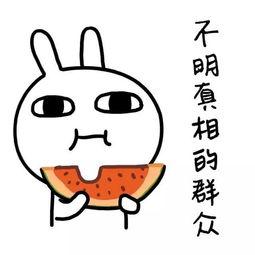 娱乐吃瓜酱靠什么赚钱的,揭秘其独特赚钱之道